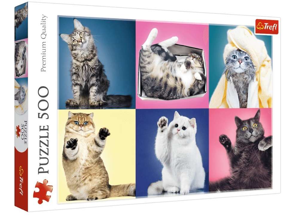 Trefl - Kätzchen - 500 Teile Puzzle - Nur CHF 14.90! Jetzt kaufen auf fluxed.ch